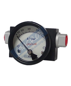 DPG2: Differential Pressure Gauge With Switch