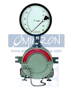 EX-200DPG: Differential Pressure Switch